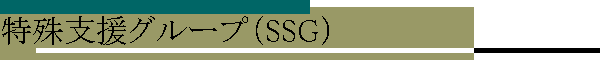 特殊支援グループ（SSG）